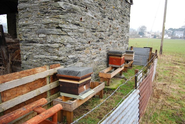 Apiary at Aber-Alwen